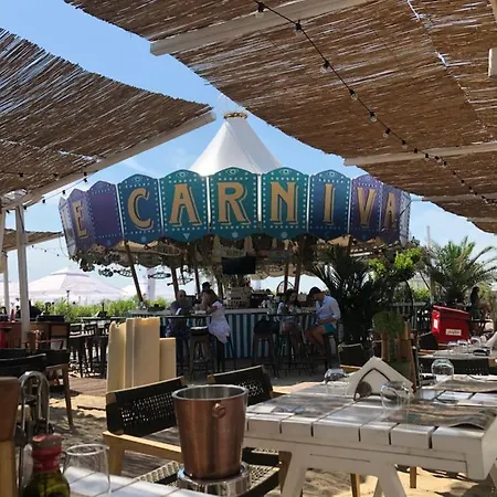 Theo Summerland Seaview Mamaia